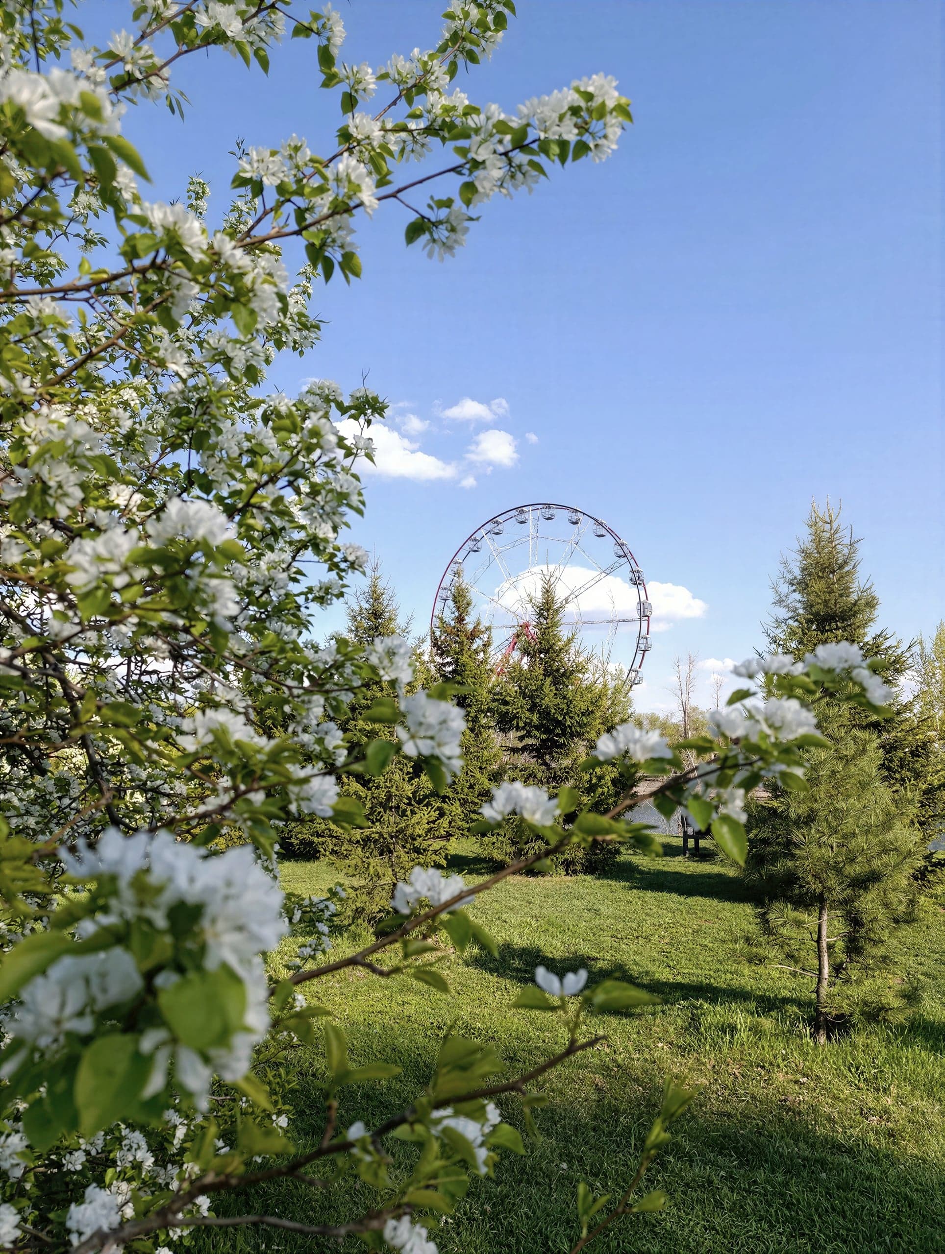Остров Юность